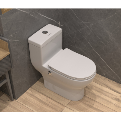 Унитаз-моноблок с функцией биде и встроенным смесителем EVA GOLD T1017B. Фото